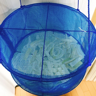 天日干しする大根の皮
