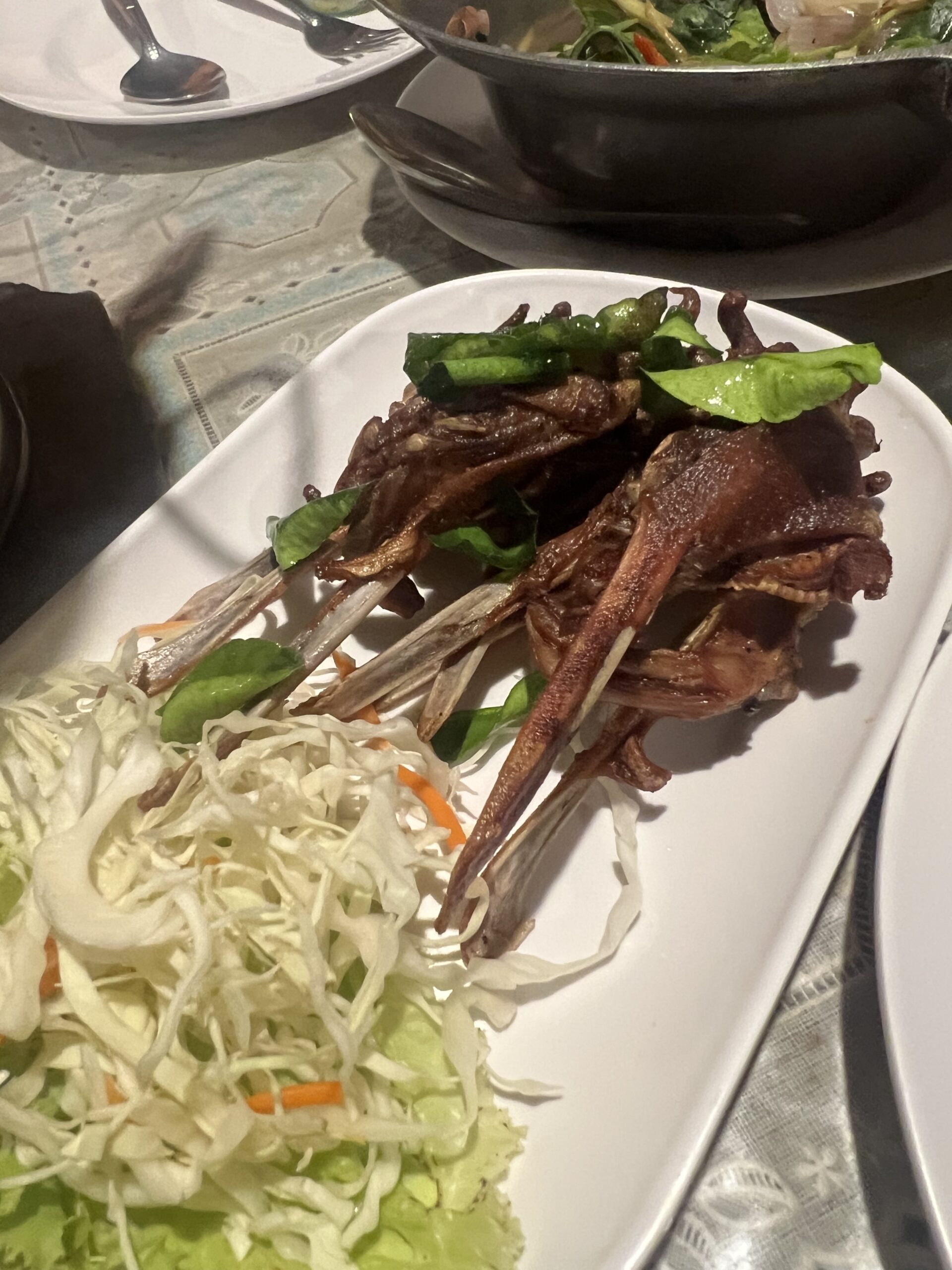 パックペットトート アヒルのクチバシ揚げ